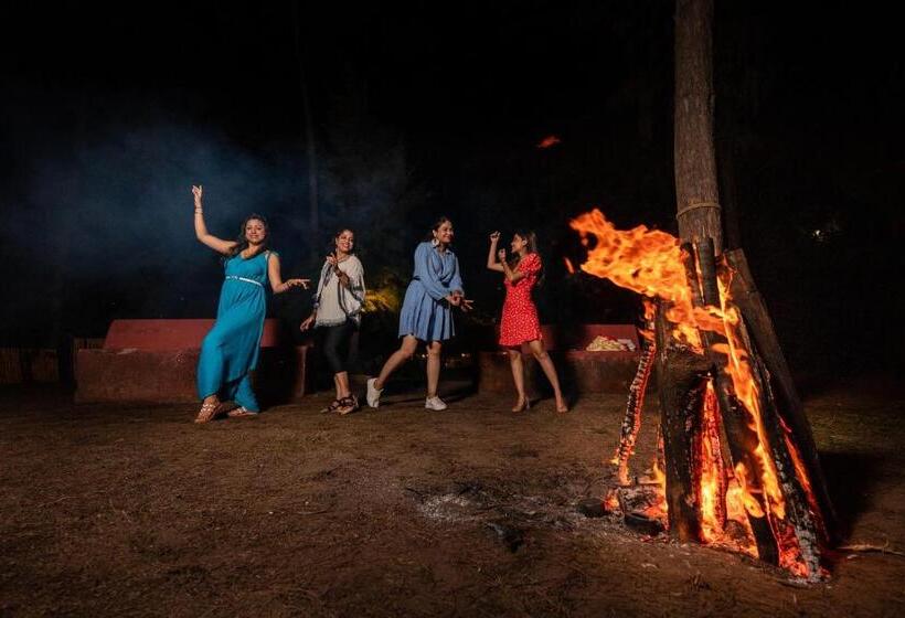 Lotus An Eco Beach Resort Dapoli Murud