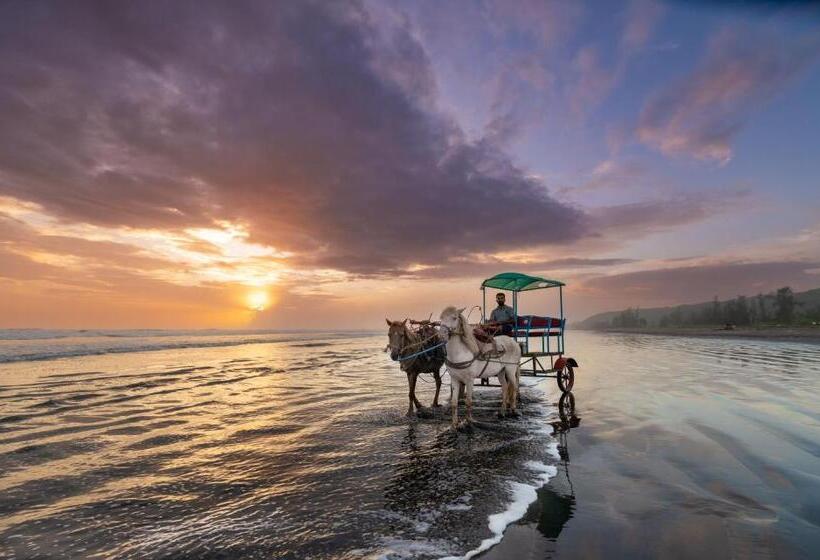 Lotus An Eco Beach Resort Dapoli Murud