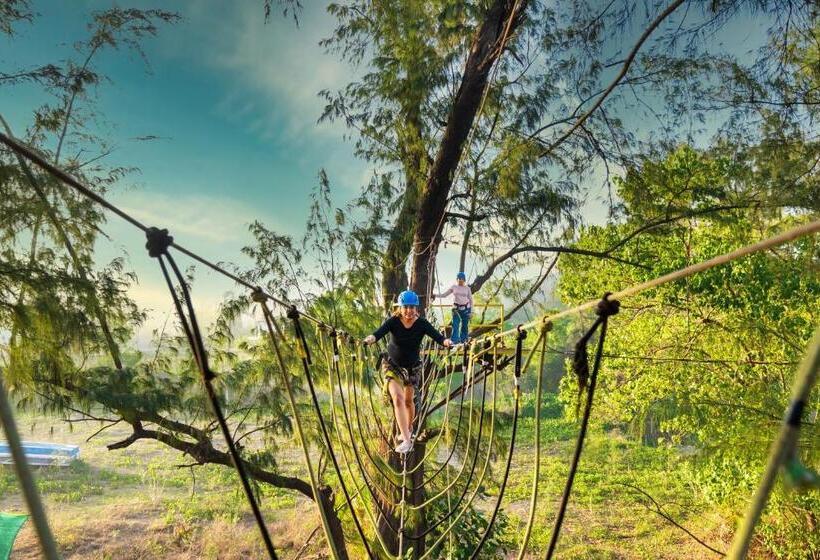 Lotus An Eco Beach Resort Dapoli Murud