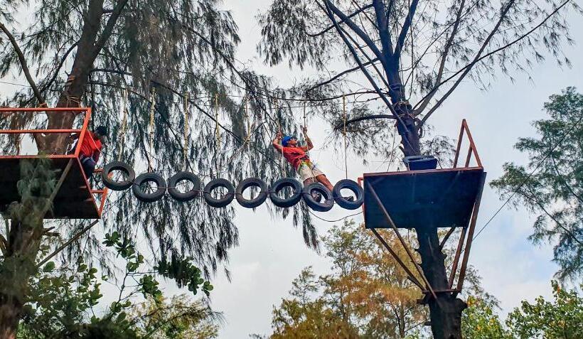 Lotus An Eco Beach Resort Dapoli Murud