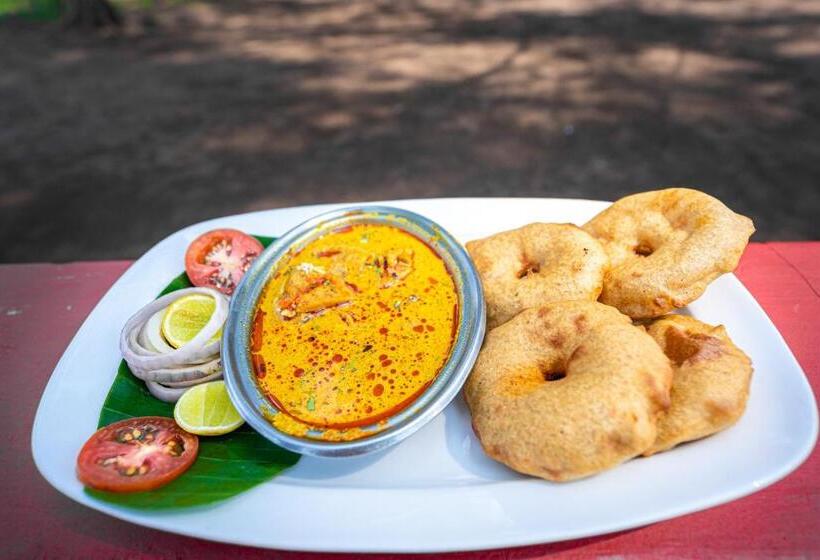 Lotus An Eco Beach Resort Dapoli Murud