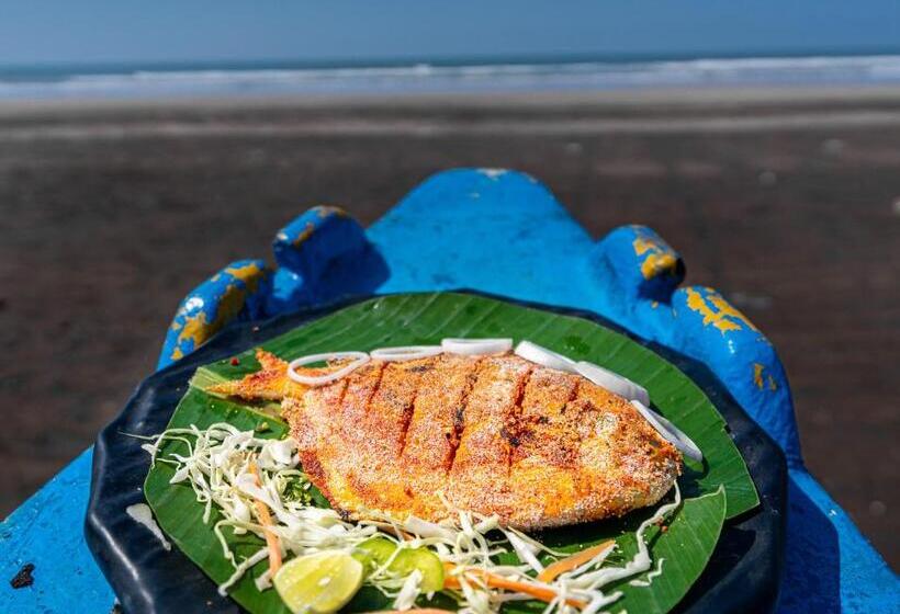 Lotus An Eco Beach Resort Dapoli Murud