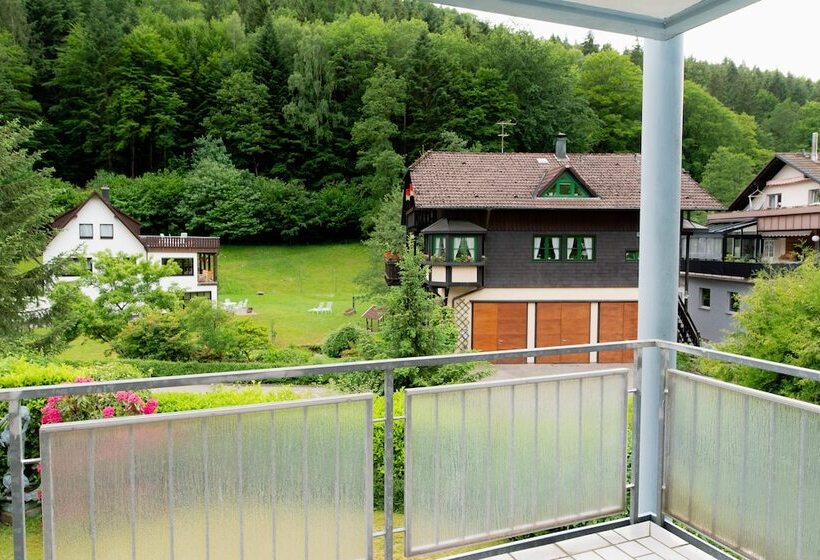 Apartment Schwarz Waldperle