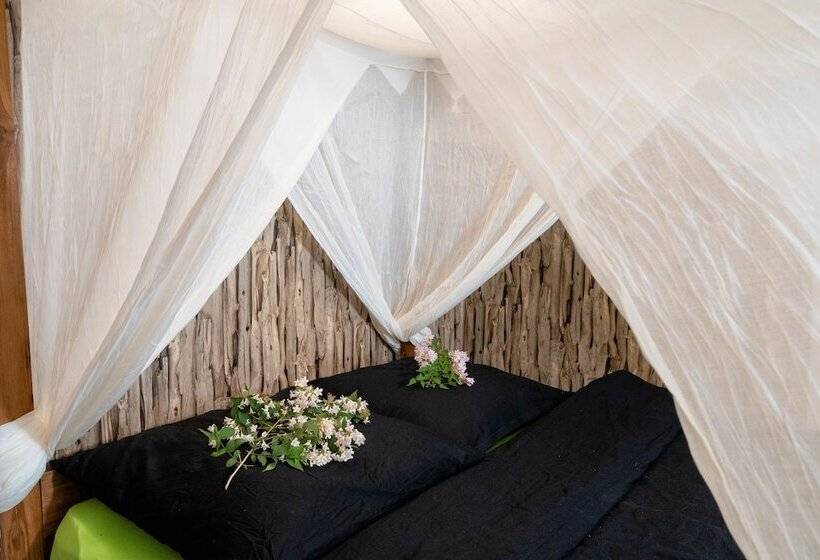 Apartment Schwarz Waldperle