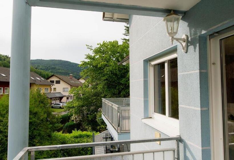 Apartment Schwarz Waldperle