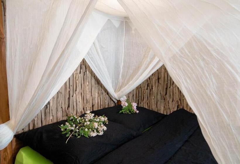 Apartment Schwarz Waldperle