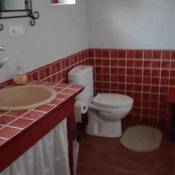 La Escuela Del Campo