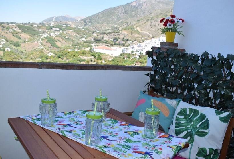 Olivo 15e   Terraza Y Vistas