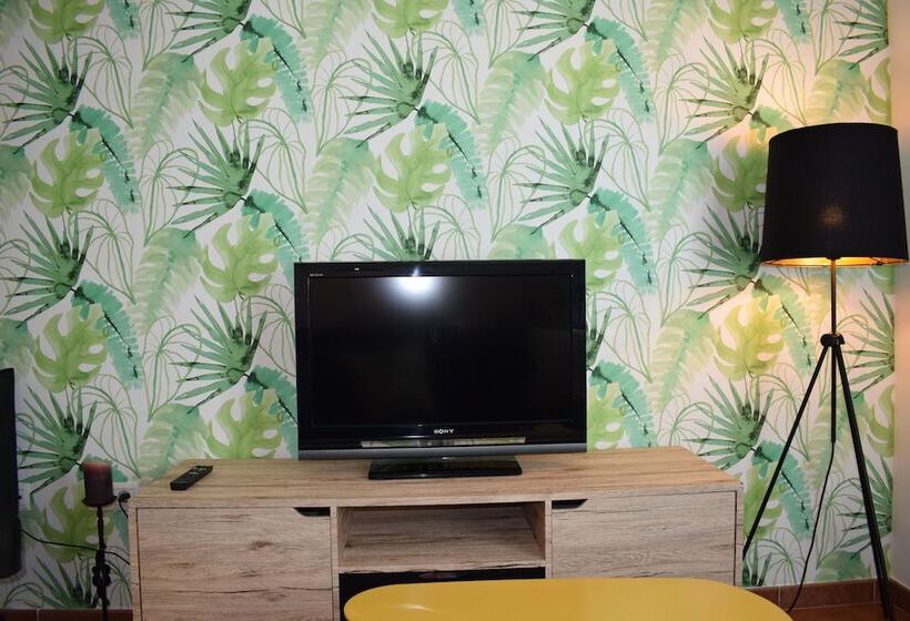 Olivo 15e   Terraza Y Vistas