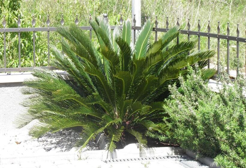 膳宿费 Guest House Davor Tomas