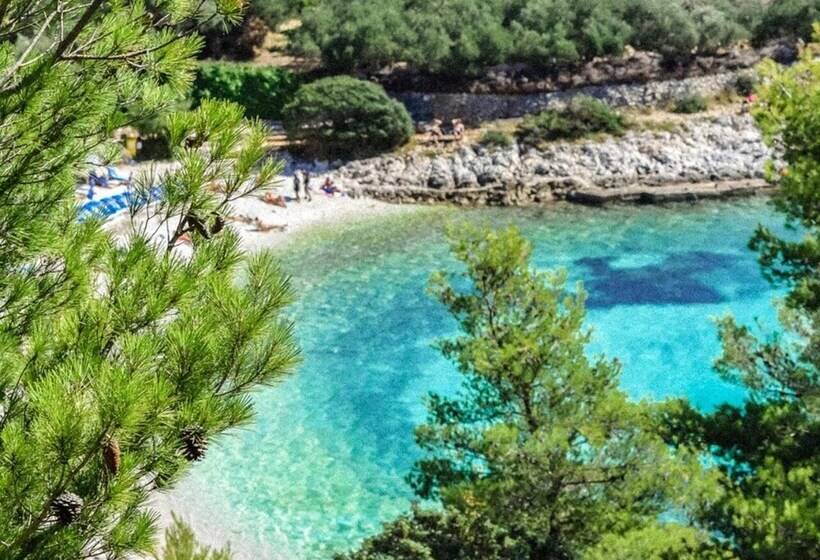 פנסיון Harmony Room Hvar