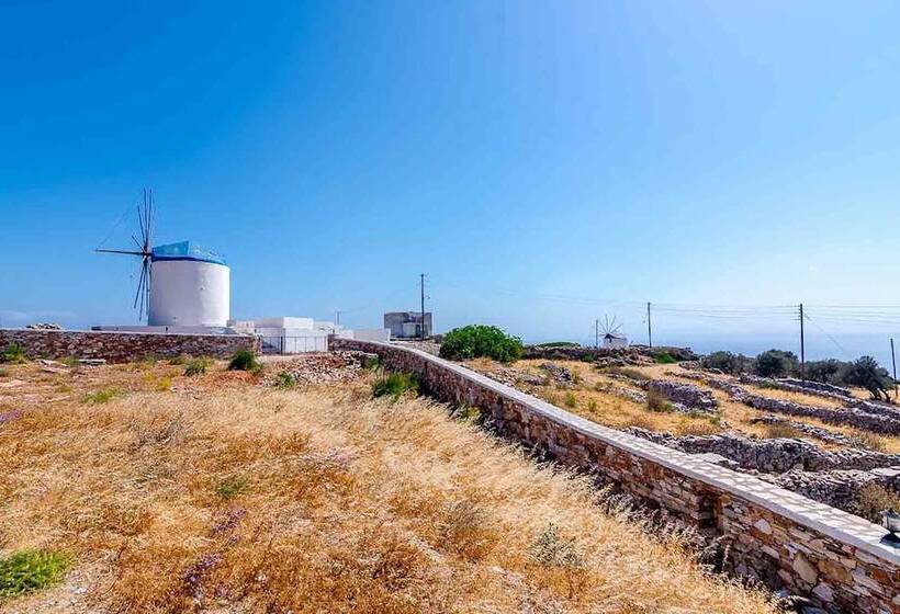 Spacious 2 Bedroom House With Fantastic Yard