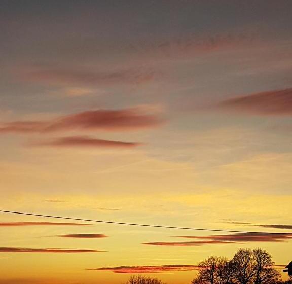 Spring Paddocks B&b