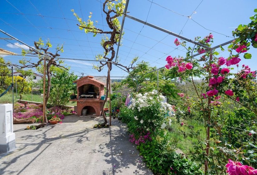 Apartment Bigterrace