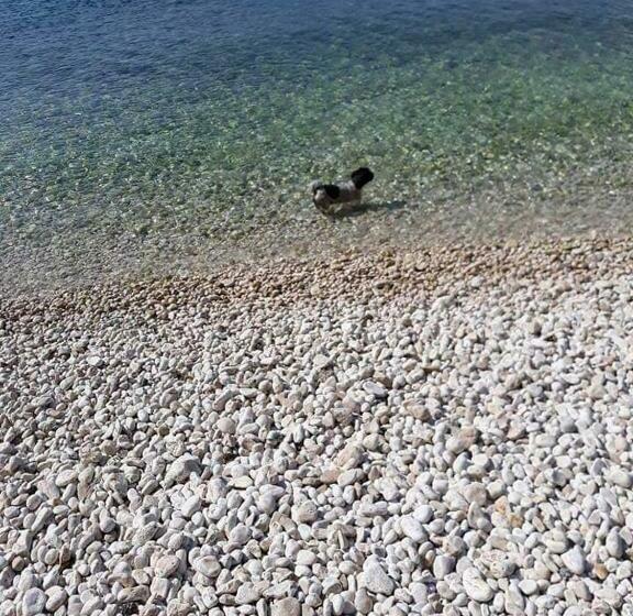 Studio Apartment Greis