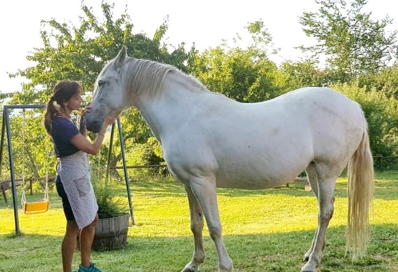Apartment With One Bedroom In Ardanué, With Wonderful Mountain View And Furnished Garden