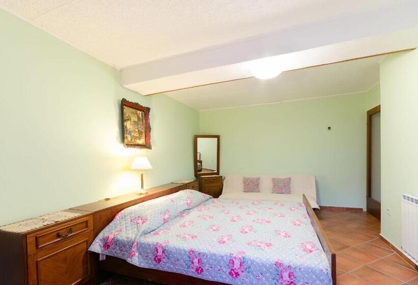 Apartments And Room Mirjana