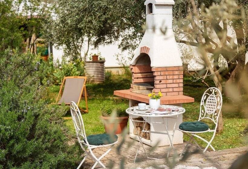 Apartments Valter 881