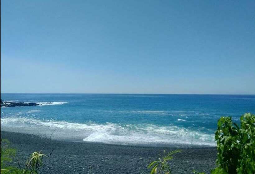 مبيت وإفطار Plumeria Grove Cottage