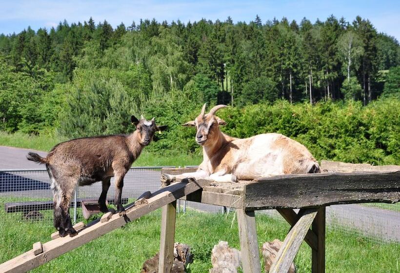 Campingplatz Am Waldbad