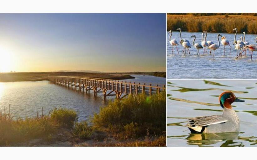 Casa Blu, Beach Boho Chic, Beach And Pool Fast Wifi