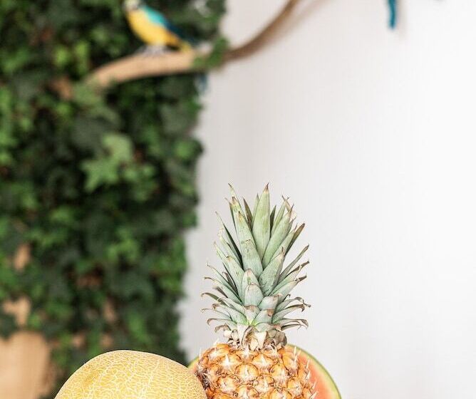 Domus Aqua, Member Of Domus Elegance Collection