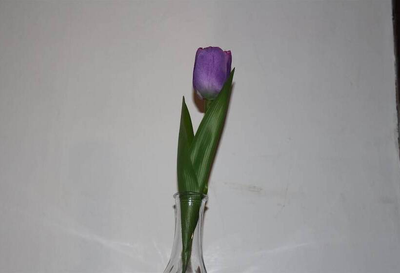 بنسيون John St Town House