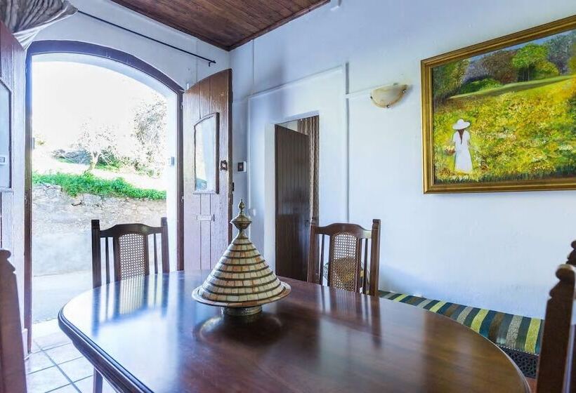 Solar Da Rosa Rc E Solar Da Tirosa 1º Andar