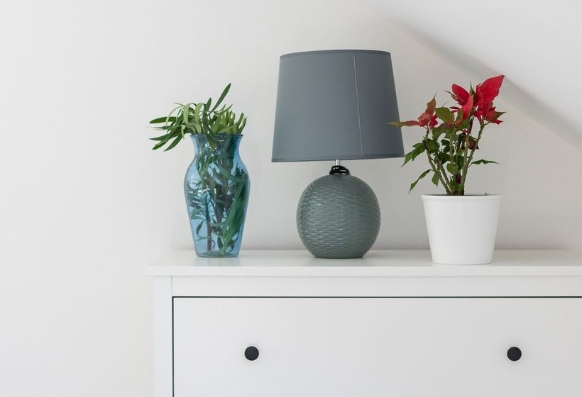 St. Lucia S Apartment