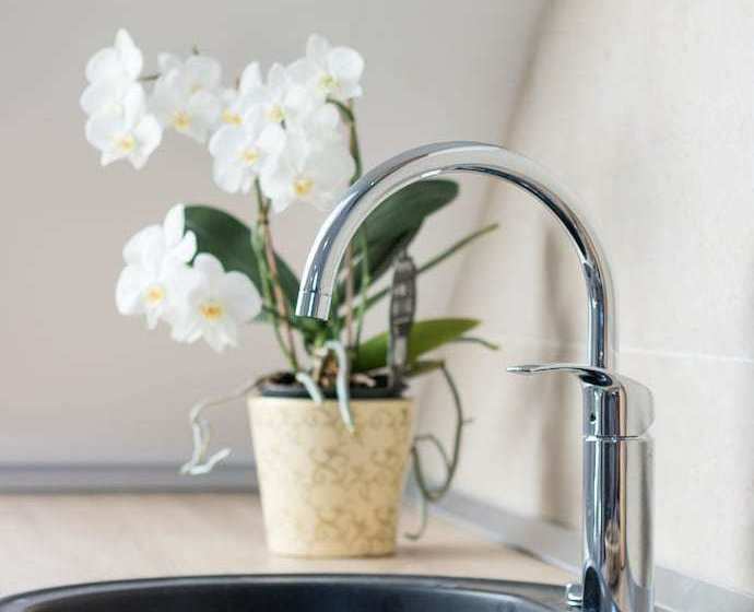 St. Lucia S Apartment