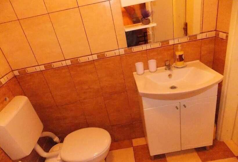 Apartment Tomy / Studio Terrace A1