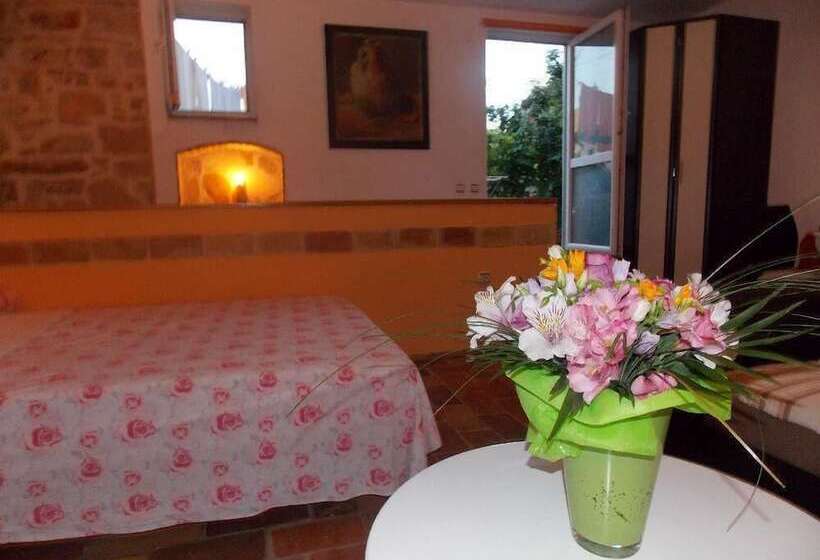 Apartment Tomy / Studio Terrace A1