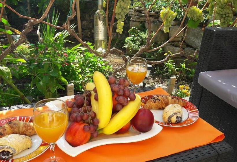 Apartment Tomy / Studio Terrace A1