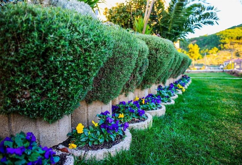 Apartment And Rooms Ana