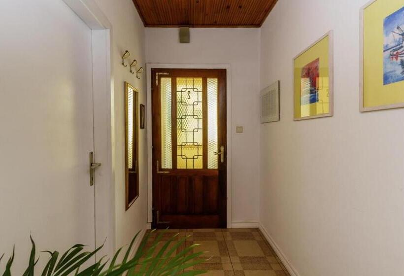 Barba In Trogir Mittel Dalmatien