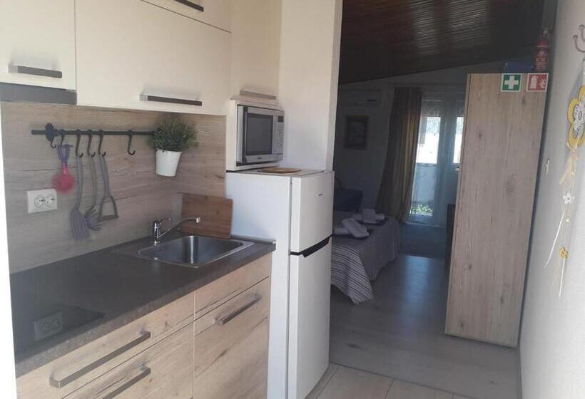 Apartments Carev 1293