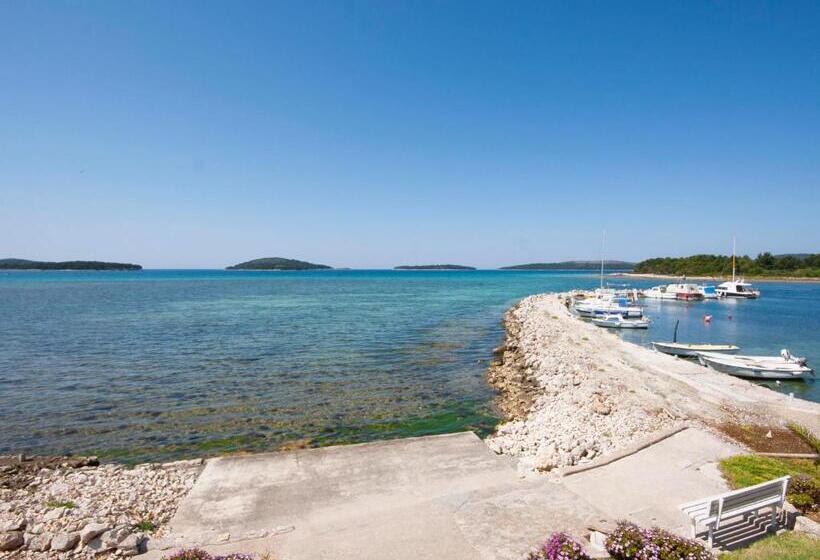 Apartments Grivičić