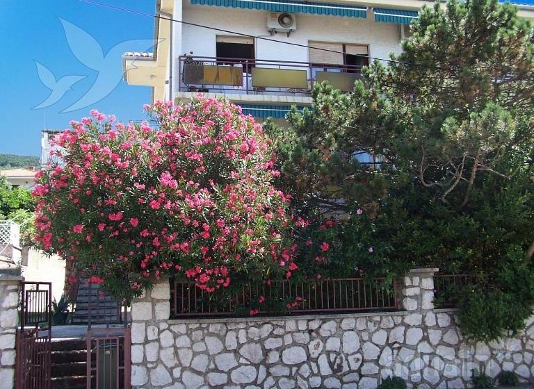 Apartments Luić 4244