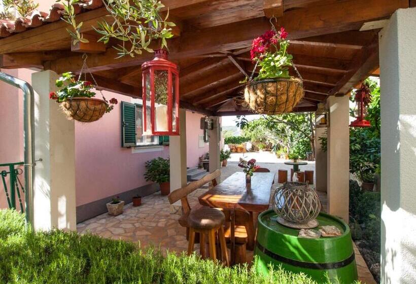 Apartments Sunčica 1613