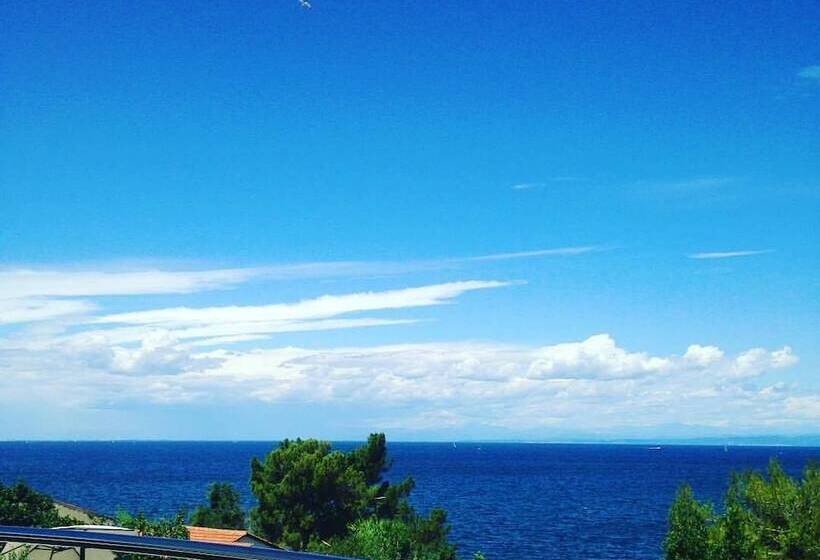 Apartments Villa Sofia