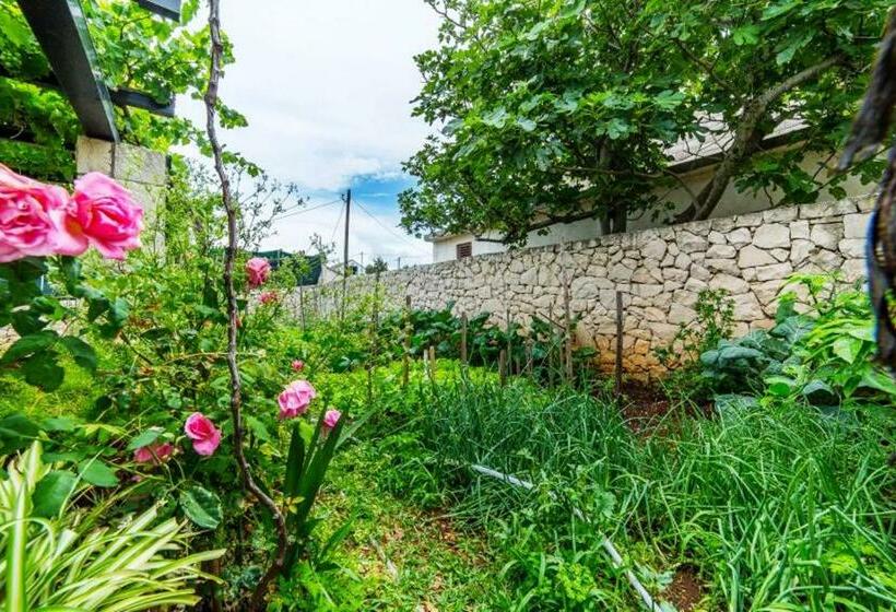 Apartments Villa Vanja