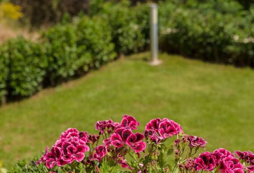 Bright & Spacious Two Floor Family Garden Home