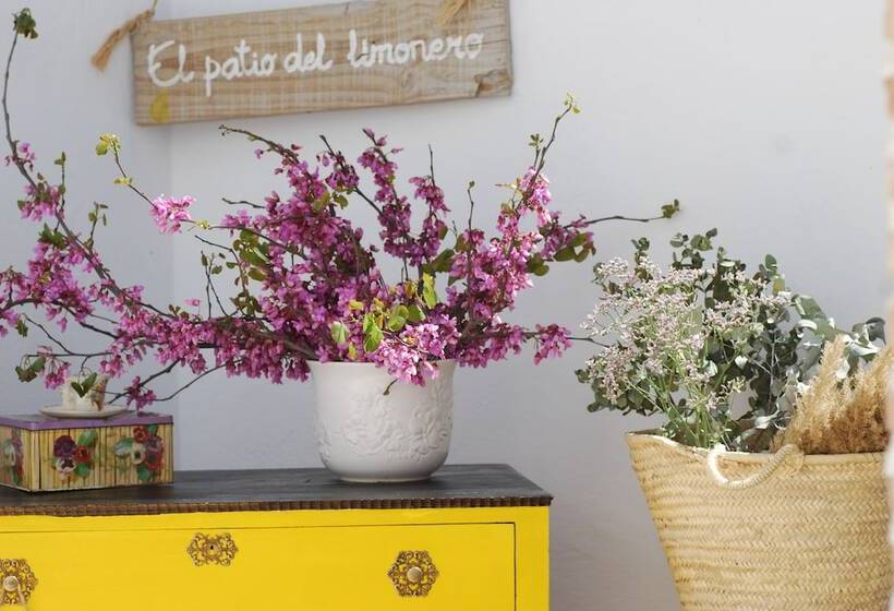 El Patio Del Limonero