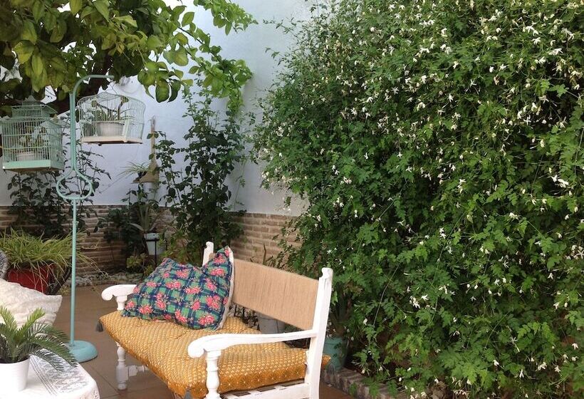 El Patio Del Limonero