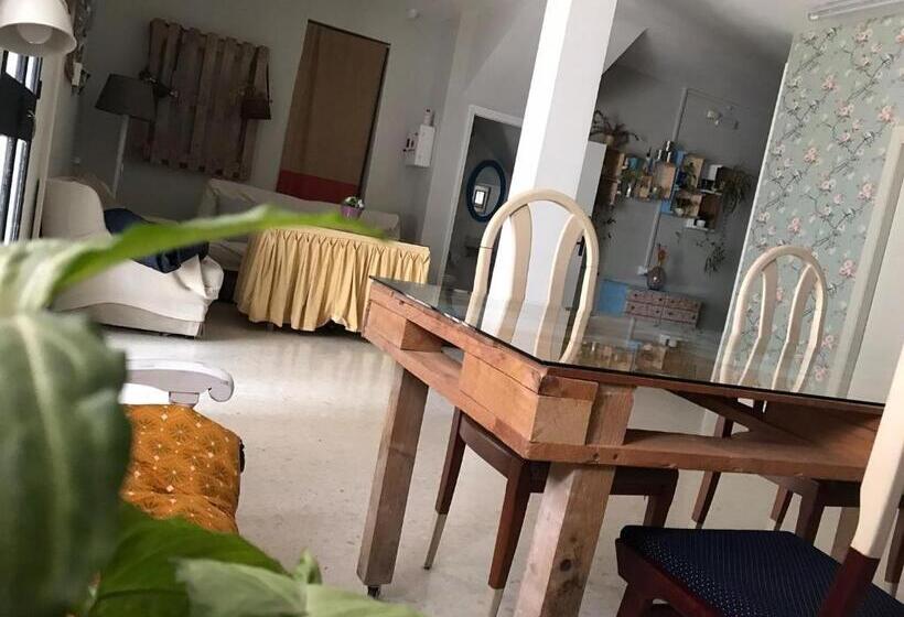 El Patio Del Limonero