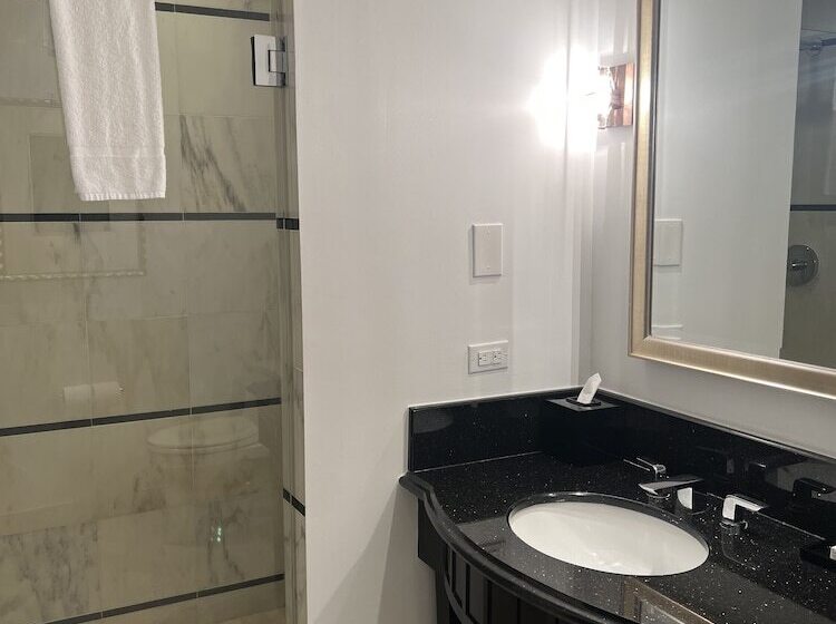 ホテル Fb Miami Beach Sorrento Private Ocean Luxury Suite