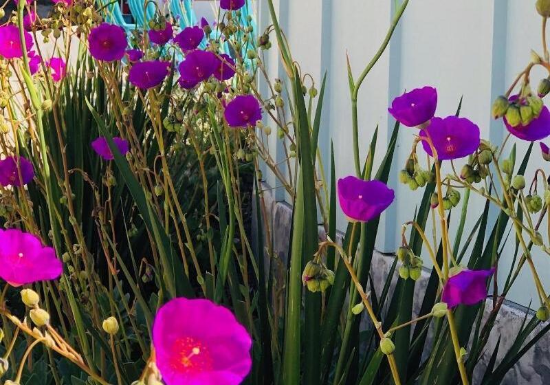 호텔 Seafoam Lodge