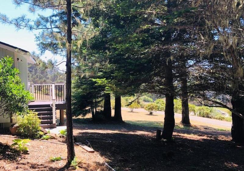 호텔 Seafoam Lodge