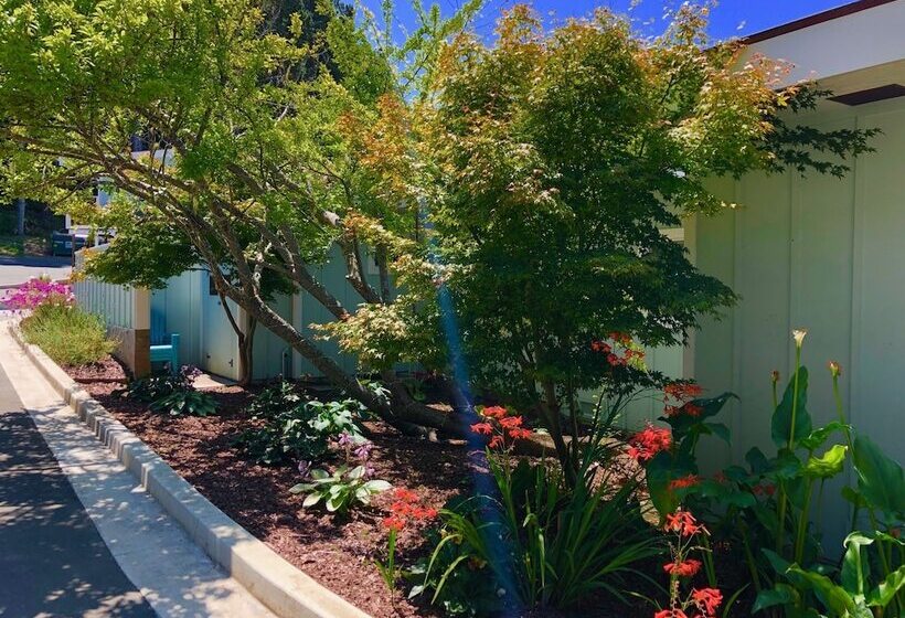 호텔 Seafoam Lodge