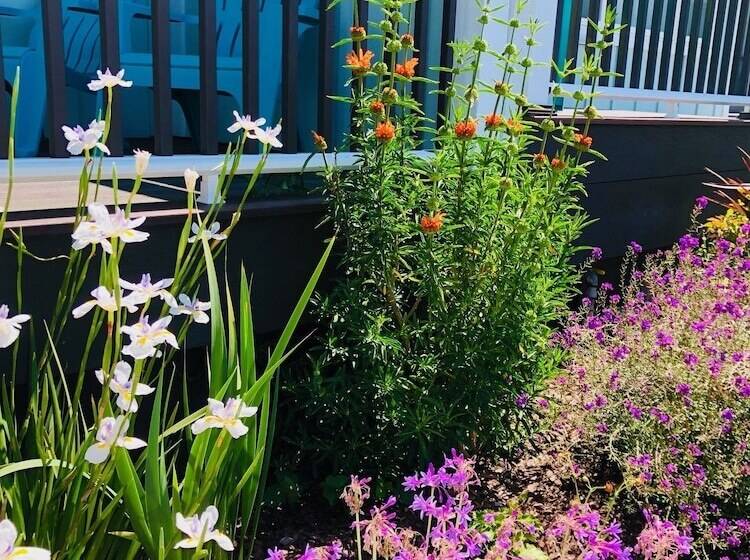 호텔 Seafoam Lodge